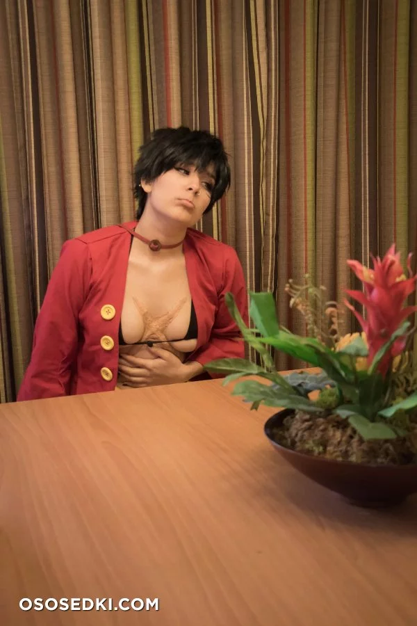 MONKEY D LUFFY ONE PIECE 58 LEWD PHOTOS LEAKED FROM 2